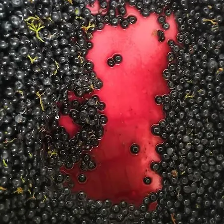 Bucolique De Martet Casa de Férias