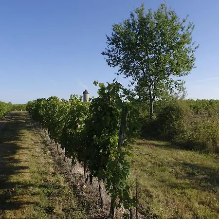 Bucolique De Martet Casa de Férias Eynesse