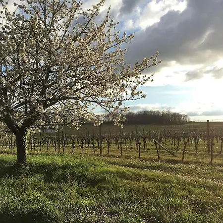 Bucolique De Martet * Eynesse