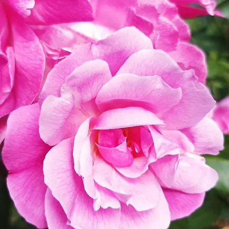 Casa de Férias Bucolique De Martet