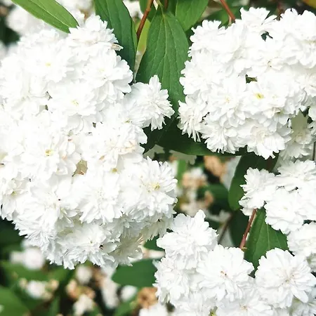 Bucolique De Martet Eynesse