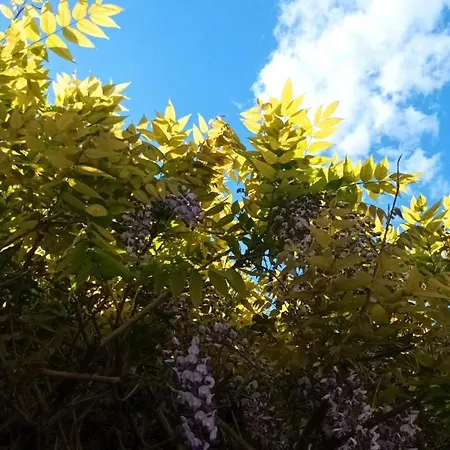 Bucolique De Martet Eynesse