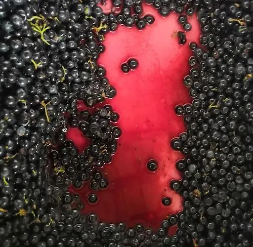 Bucolique De Martet 度假居