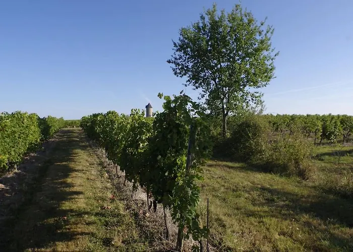 Bucolique De Martet 度假居 Eynesse