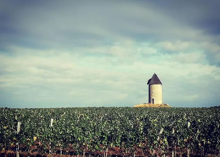 度假居 Bucolique De Martet *