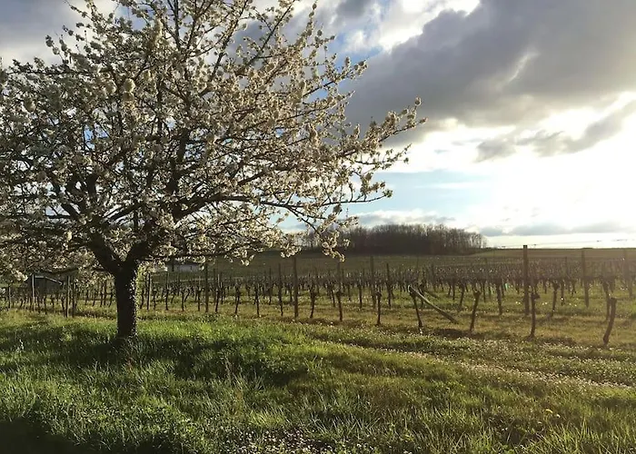 Bucolique De Martet * Eynesse