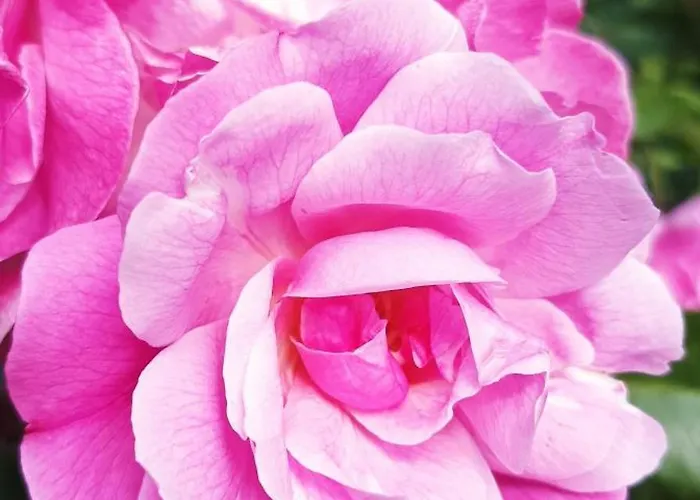 度假居 Bucolique De Martet