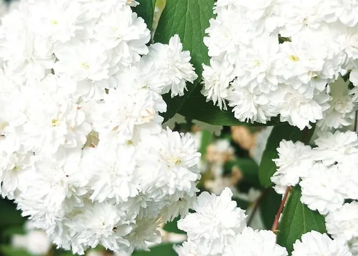 Bucolique De Martet Eynesse