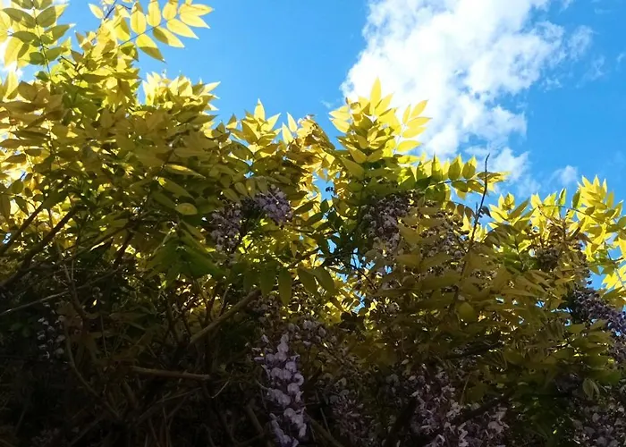 Bucolique De Martet Eynesse